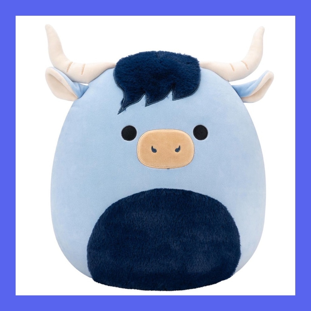 ❗️NEW❗️Toro Squishmallow